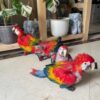 Scarlet Macaw Price